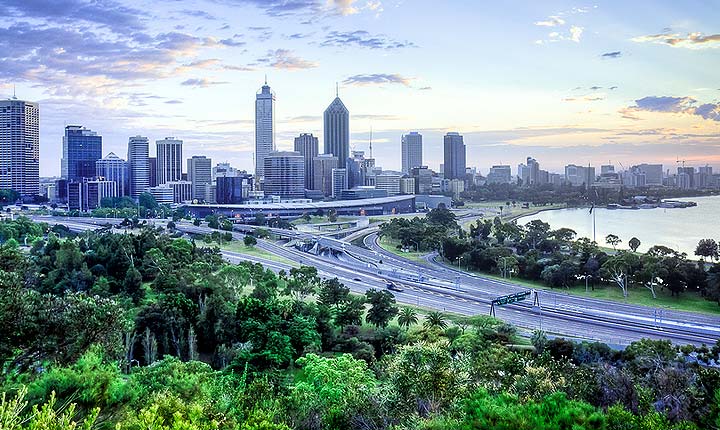Pet and House Sitting in PERTH