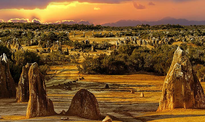House sitting and pet sitting in Western Australia
